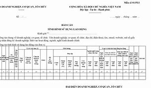 Báo Cáo Lao Động 6 Tháng Đầu Năm 2022 Là Gì