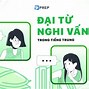 Có Bao Nhiêu Đại Từ Trong Tiếng Việt