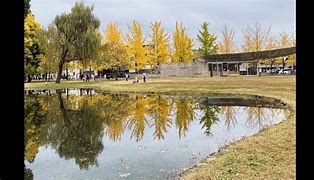 Hình Ảnh Của Manabi No Mori Park