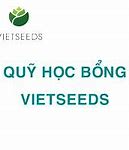 Học Bổng Vietseeds 2022 Là Gì 2 Tháng Gì