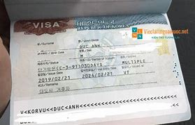 Multi Visa Là Gì